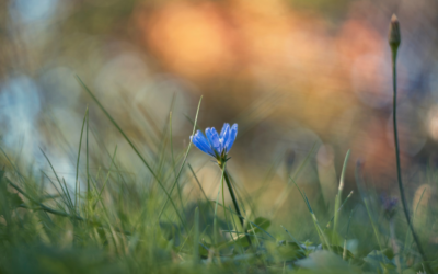 La suerte de ser normal