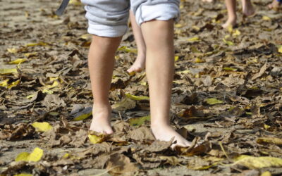 DEJAR DE MIRAR PARA PODER SENTIR