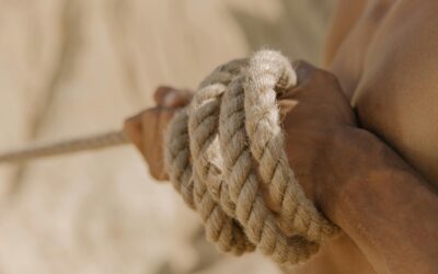 Deshacer nudos para crear vínculos