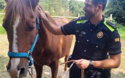 Agentes Tutores: cuando la autoridad cuida, previene y acompaña